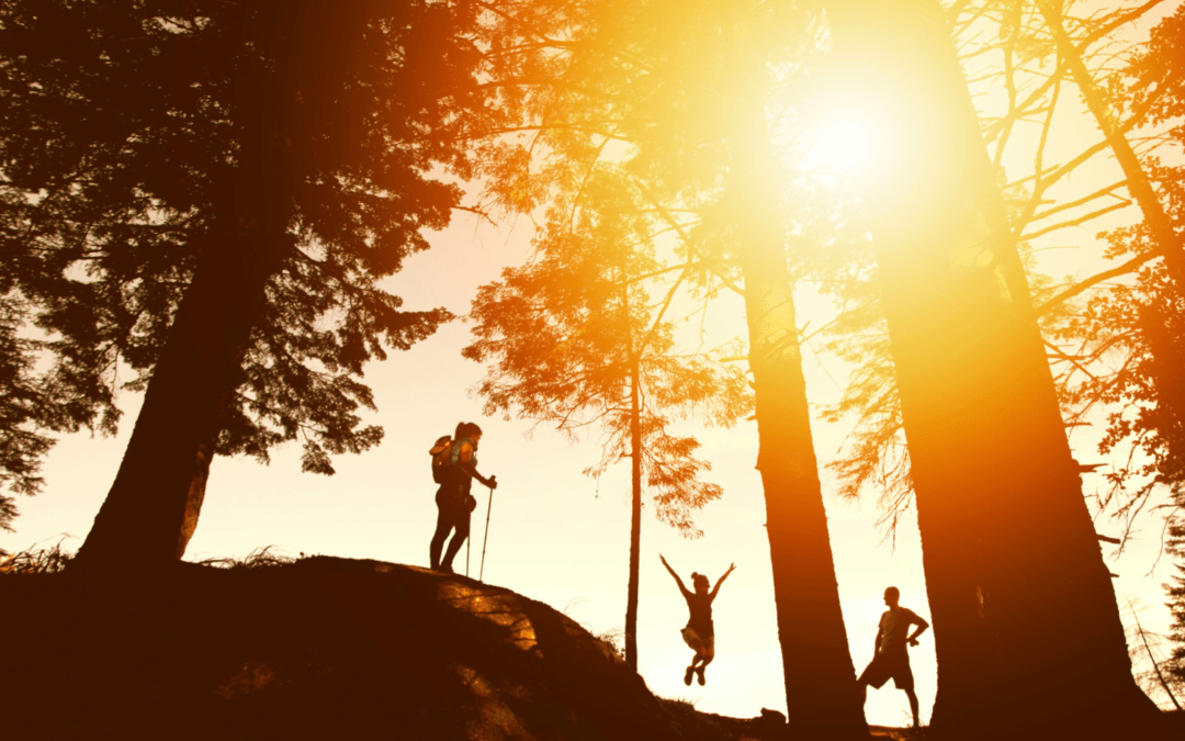 Silhouettes of hikers enjoying a sunset in a forest